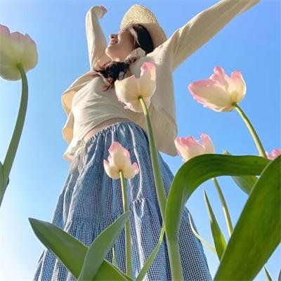 鸡兔英雄与暗黑仓鼠