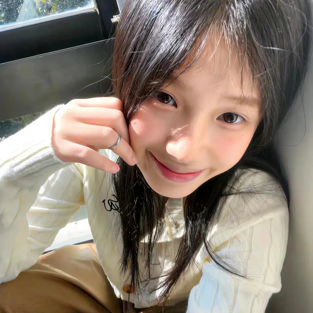 纳勒迪：一只小象的故事